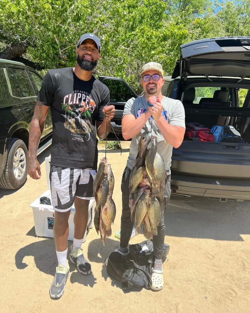 尽管如此 尽管如此